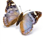 Perl Programming eBook O'Reilly Media Comprehensive Guide-0