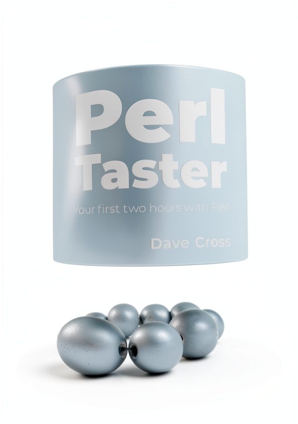 Perl Programming Essentials Kindle eBook by Perl School 90‑Minute Read-0